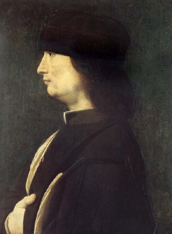 BOLTRAFFIO, Giovanni Antonio Portrait of a Gentleman china oil painting image